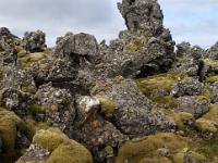 Moospolster auf schroffer Lava in der Berserkjahraun - Snaefellsnes Halbinsel